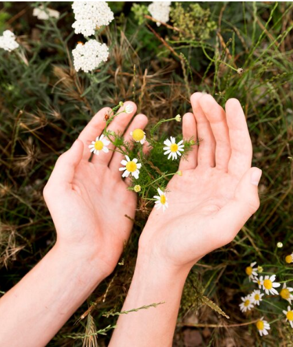 practices.magnetism.after.imageAlt